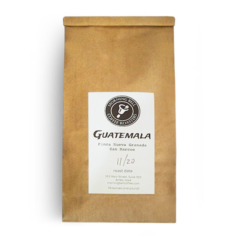 Guatemala Finca Nueva Granada San Marcos